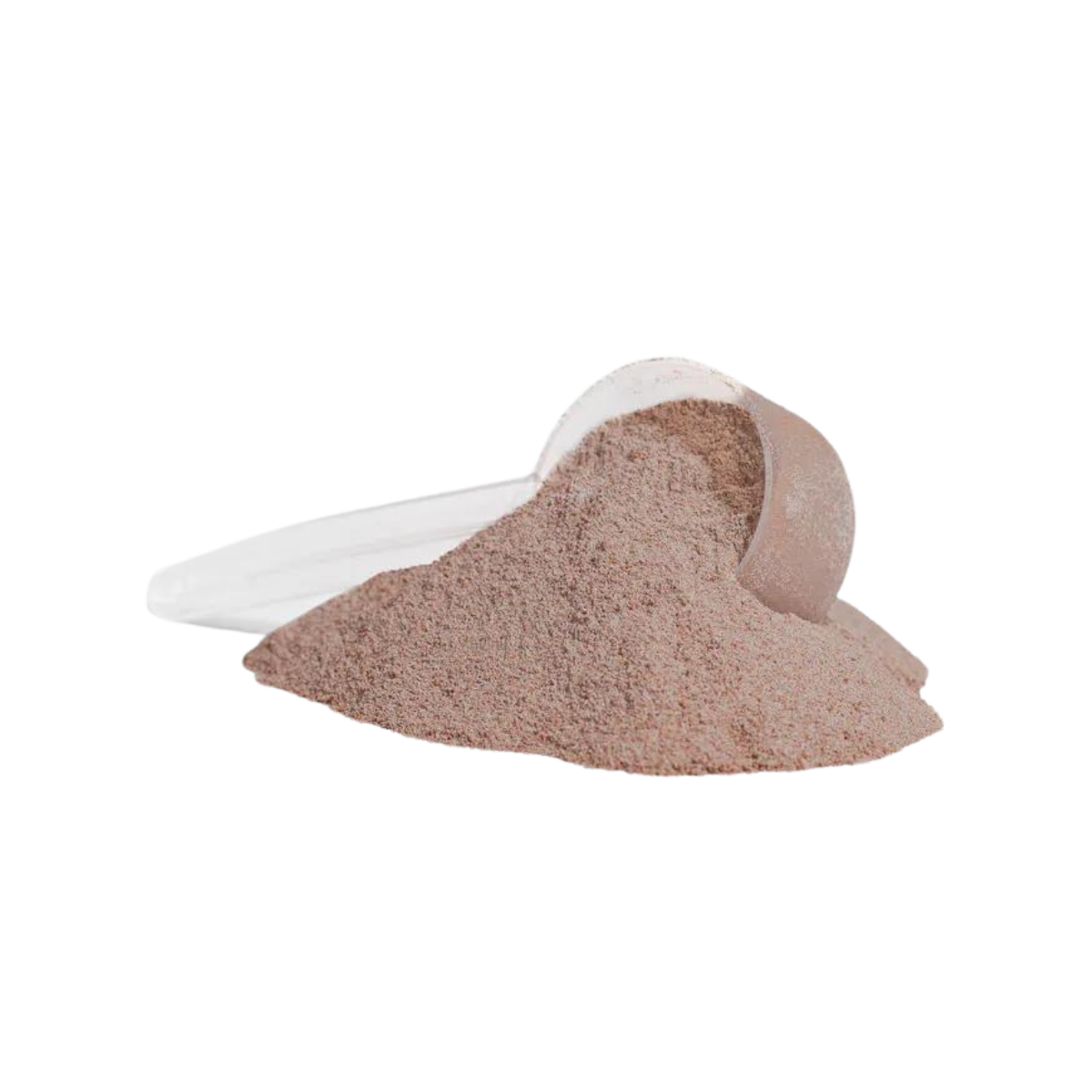 Battle-Forged Protein: Advanced 100% Whey Protein Isolate (Chocolate)
