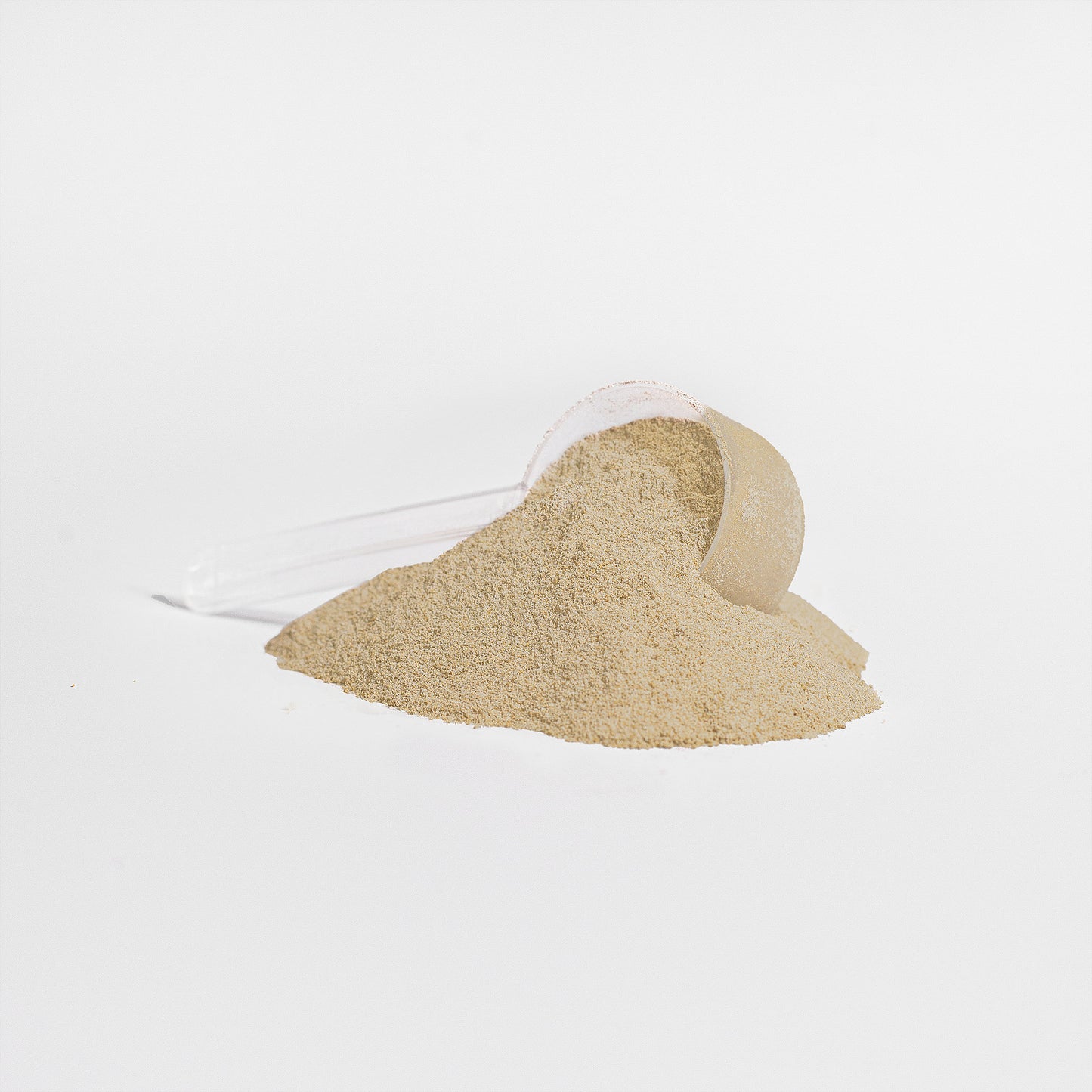 Battle-Forged Protein: Advanced 100% Whey Protein Isolate (Vanilla)